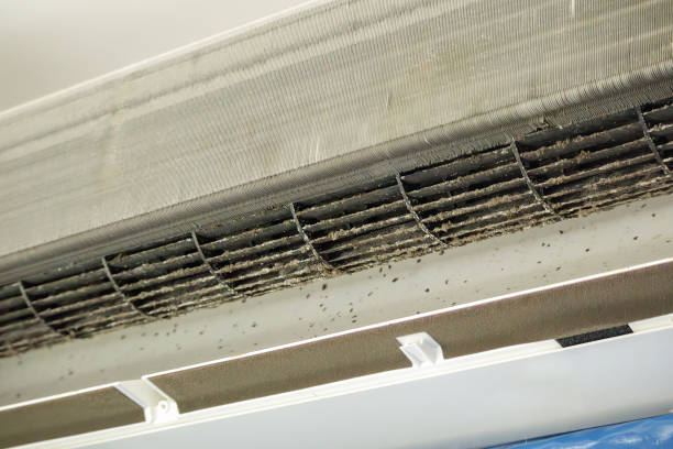 Best Air Duct Inspection  in USA